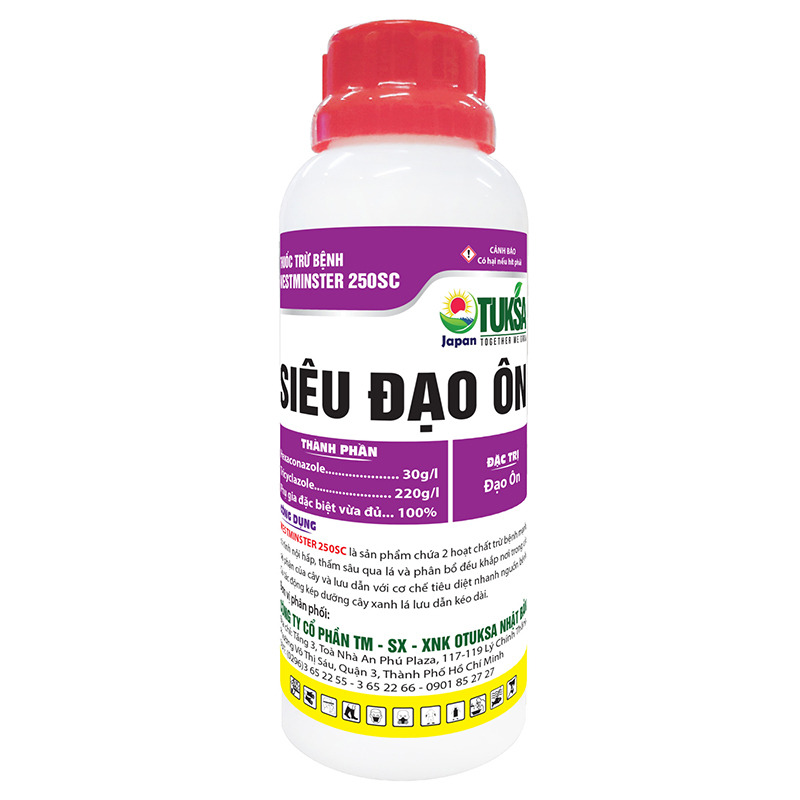CẶP ĐÔI SIÊU ĐẠO ÔN - VI KHUẨN