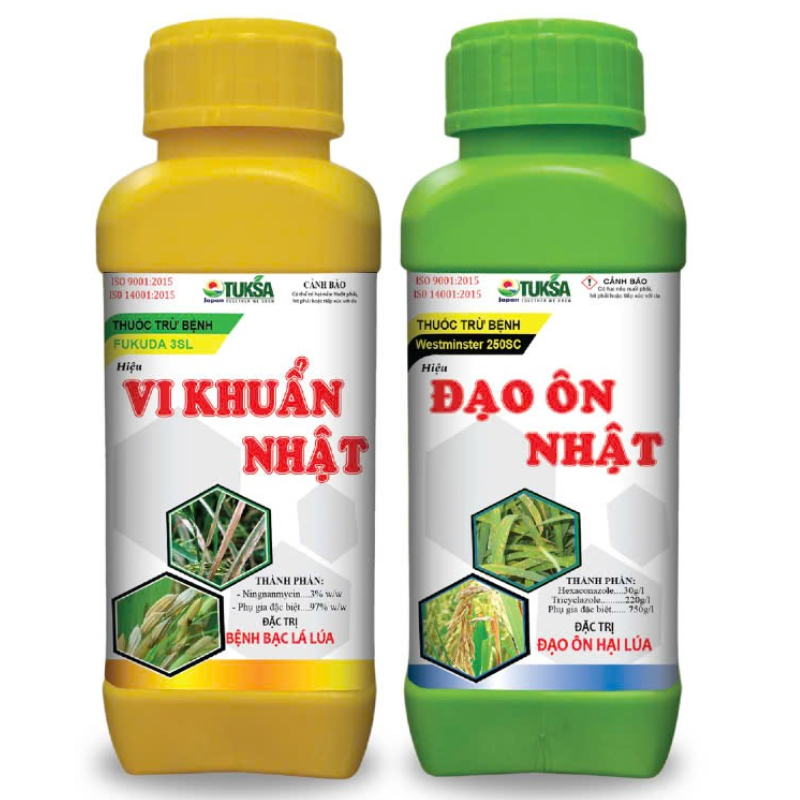 CẶP ĐÔI ĐẠO ÔN - VI KHUẨN NHẬT