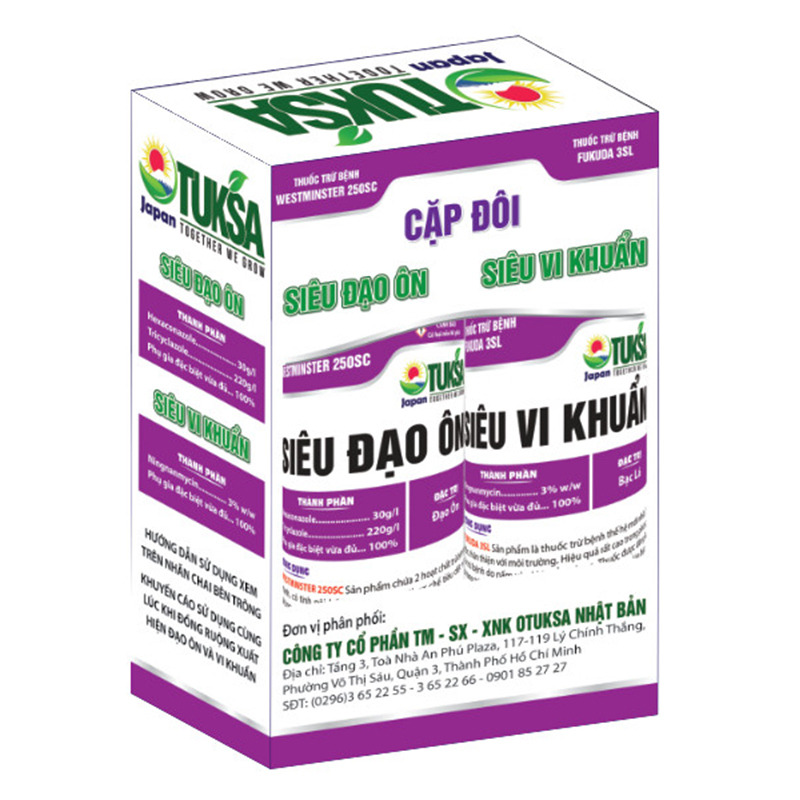 CẶP ĐÔI SIÊU ĐẠO ÔN - VI KHUẨN