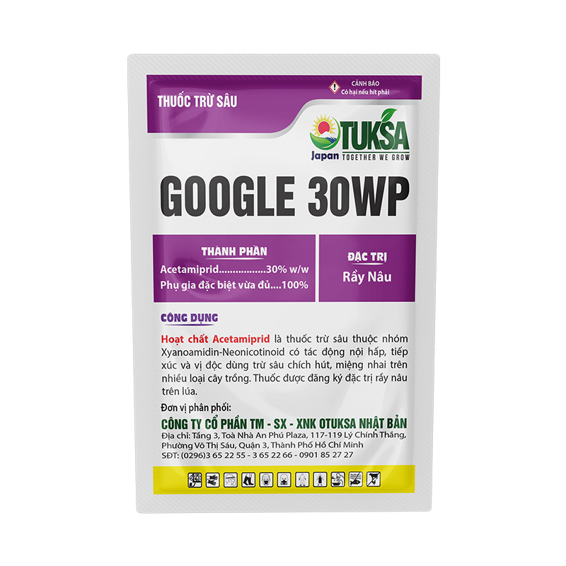 GOOGLE 30WP