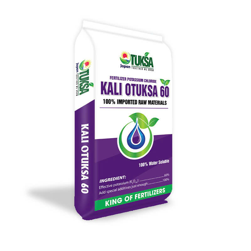 KALI OTUKSA 60