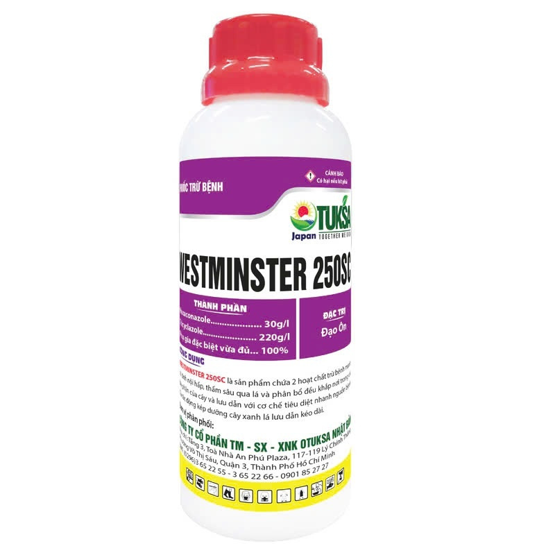 WESTMINTER 250EC
