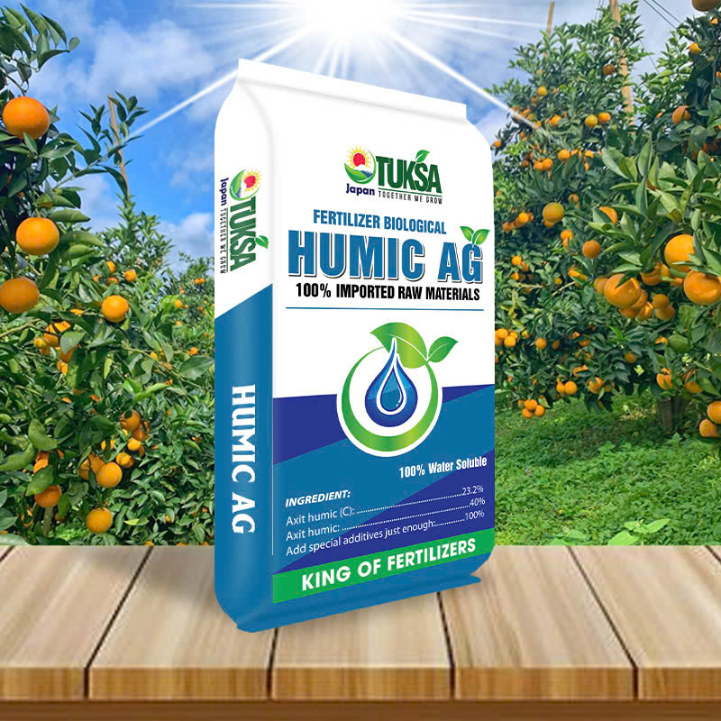 HÌnh ảnh 1